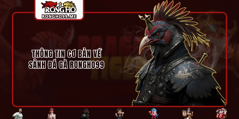 Đá Gà RONGHO99 - Sân Chơi Rực Lửa Của Những Chiến Kê 1 Thông tin cơ bản về sảnh Đá Gà RONGHO99